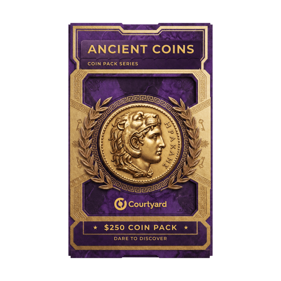 $250 Ancient Coins Pack